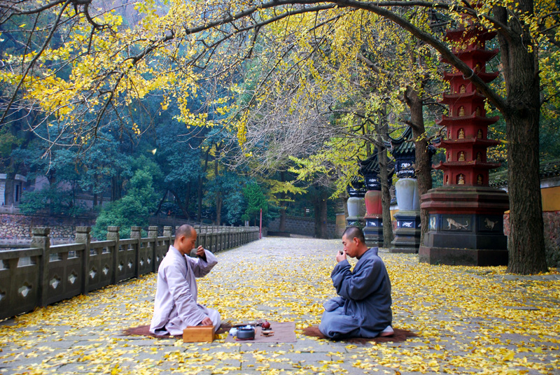 ��ͯ���߱���