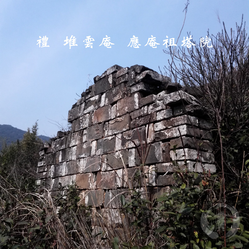 ��᮶�������ַӦ������Ժ