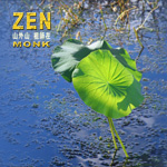 04һ������